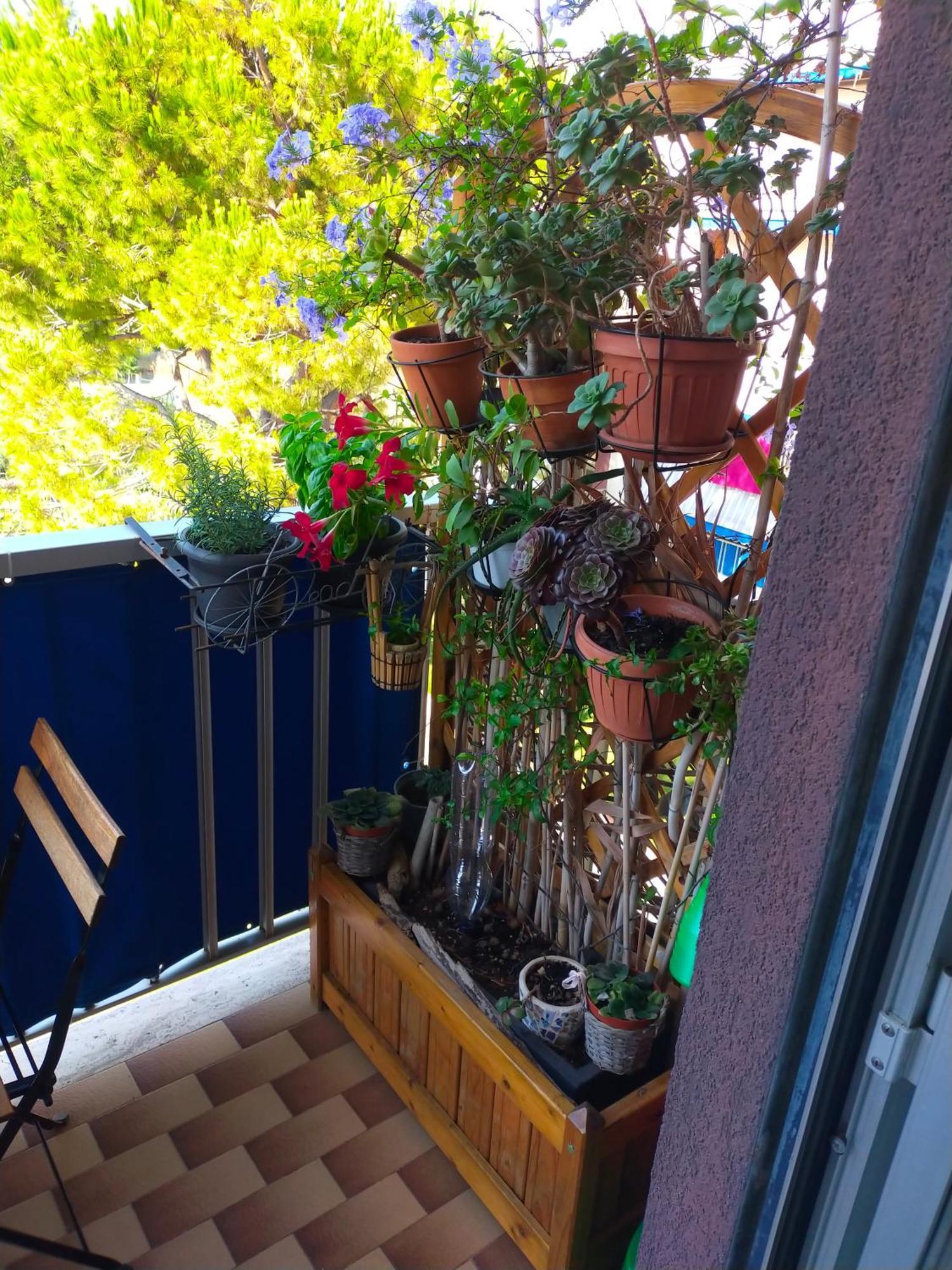 Appartamento Riviera Trilocale Wifi E Parcheggio Privato Ventimiglia Exteriör bild